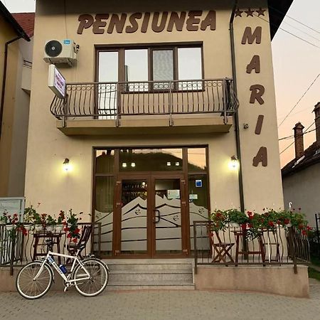 Pensiunea Maria Călimăneşti Zewnętrze zdjęcie